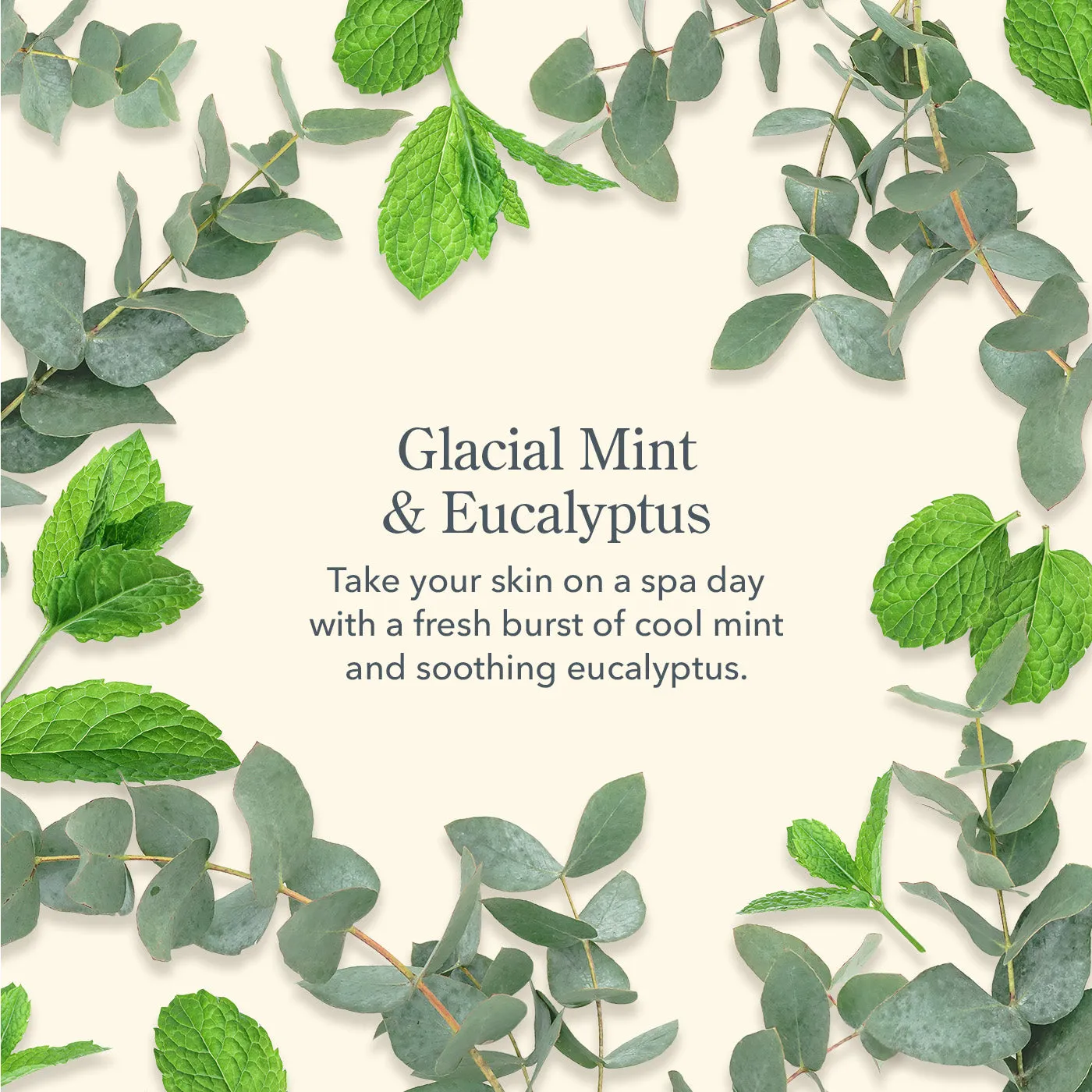 Glacial Mint & Eucalyptus Hand Cream Set of 2