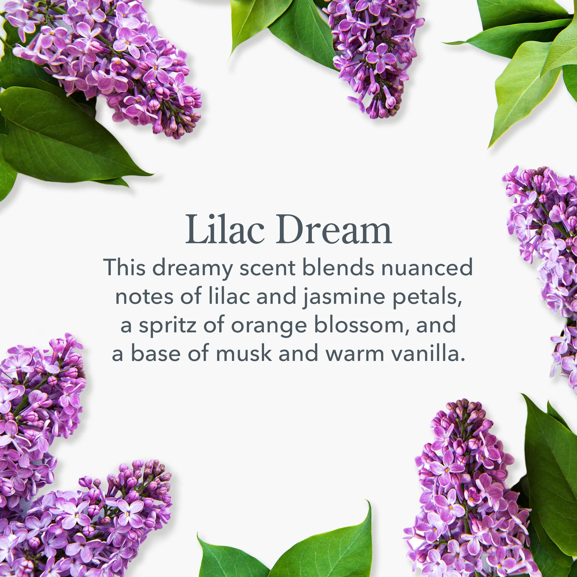 Lilac Dream Hand Cream Set of 3