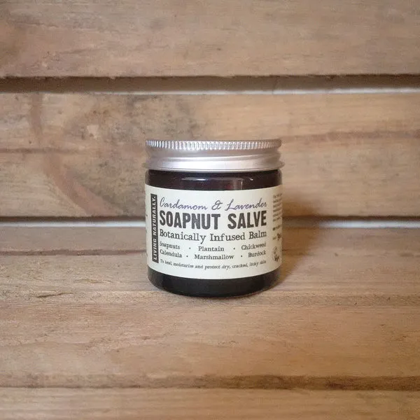 Organic soapnut salve