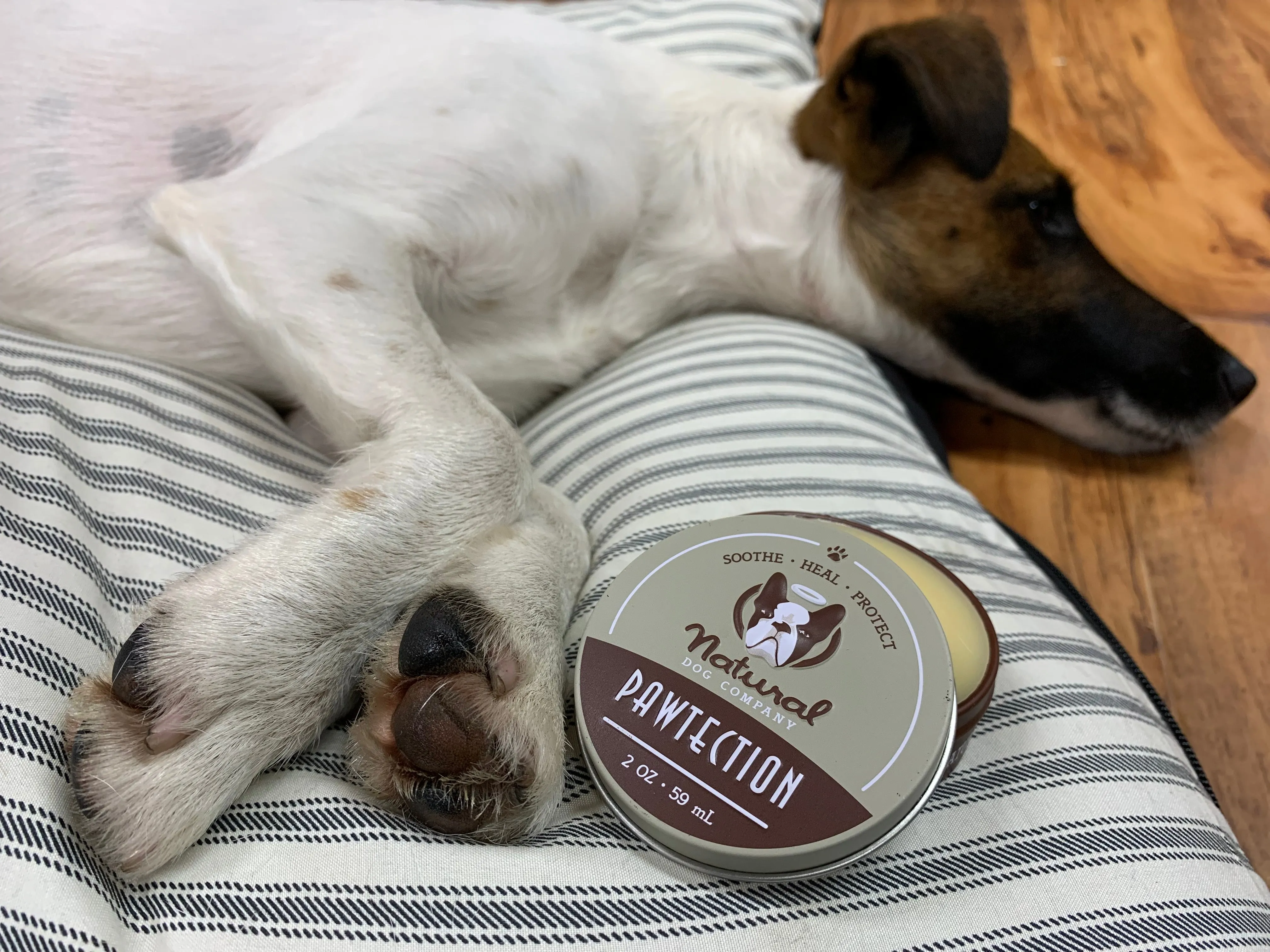 PawTection Balm